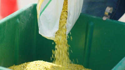 Preparing granular fertilizer for lawn application