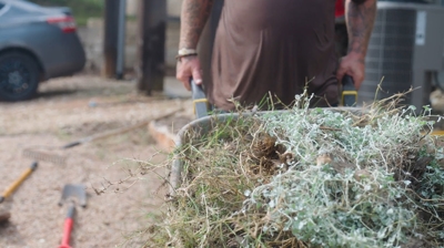 weeds removed during lawn cleanup