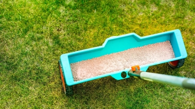 fertilizing lawn in the spring