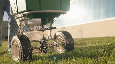 overseeding a thin lawn