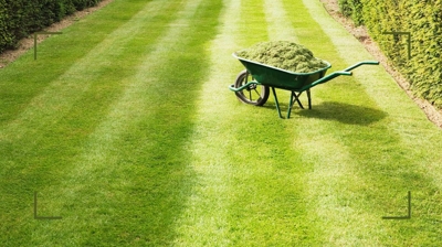 Lawn Care Mistakes Denver Homeowners Make