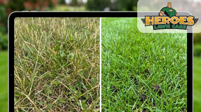 Advanced Lawn Aeration Techniques by Heroes Lawn Care in Northwest of Downtown Austin