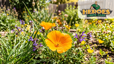 Artificial turf installation by Heroes Lawn Care in Leander, TX