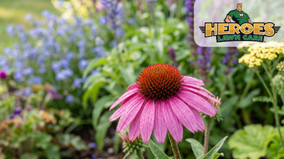 landscaping company by Heroes Lawn Care in Nothwest Austin