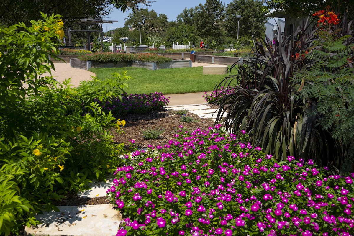 Landscaping in Teravista Georgetown and Round Rock, TX