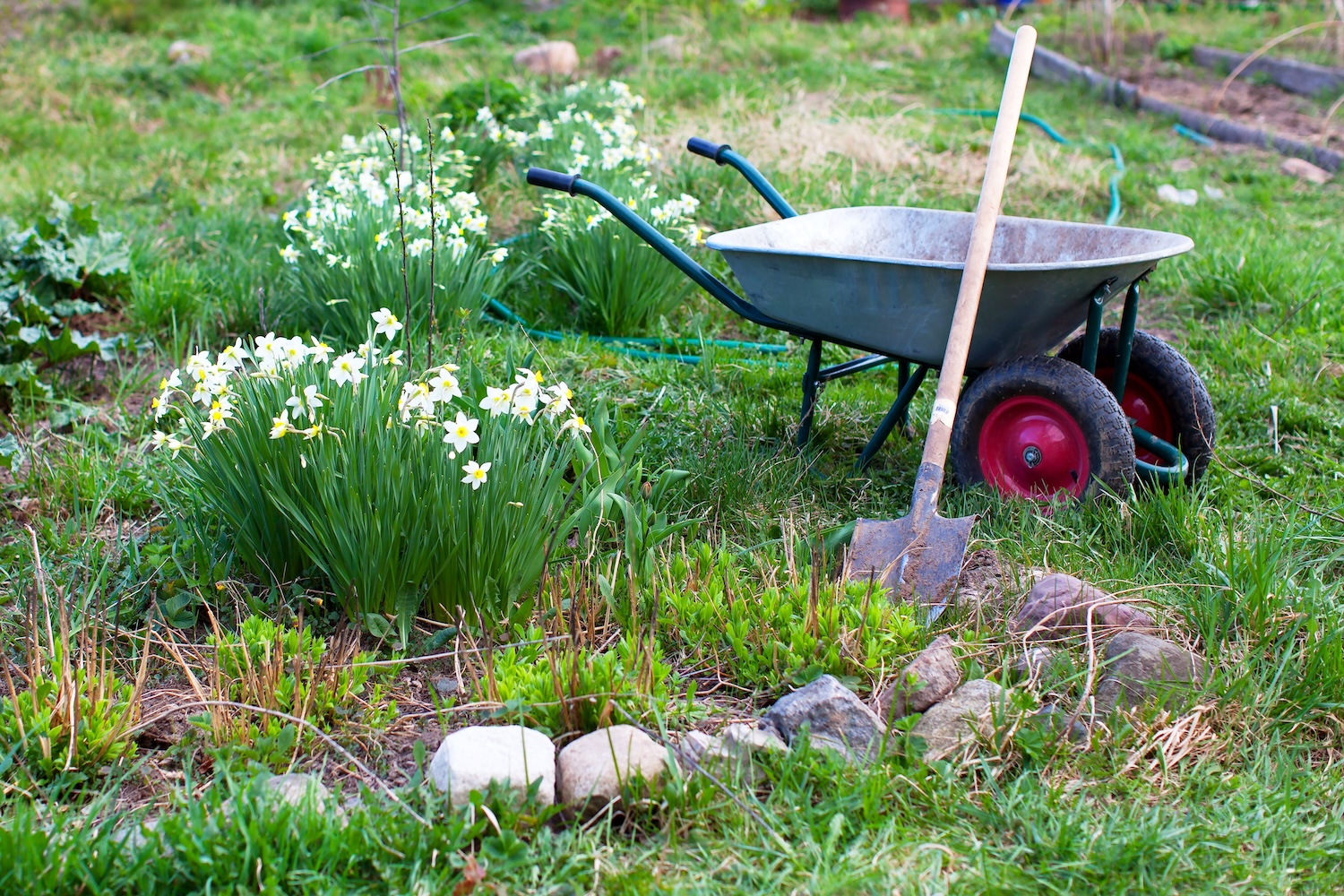 Landscape Management