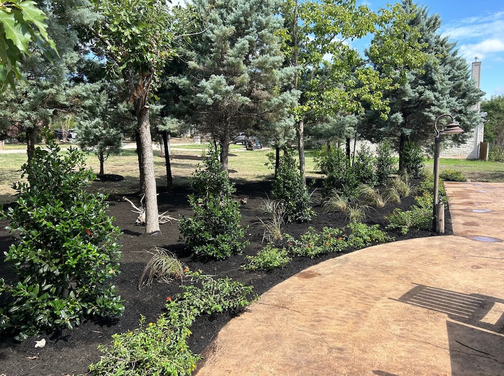 Premium Landscaping in Falconhead, Bee Cave, TX