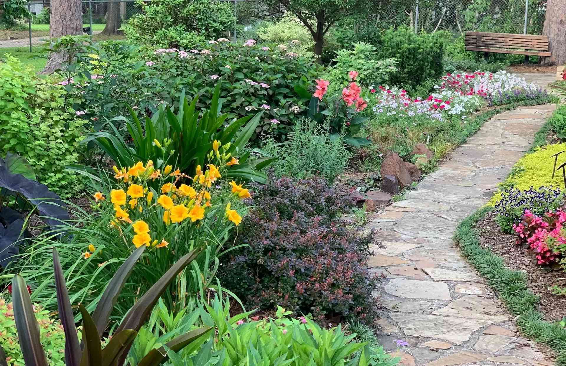 The Beauty and Benefits of Native Landscape Design