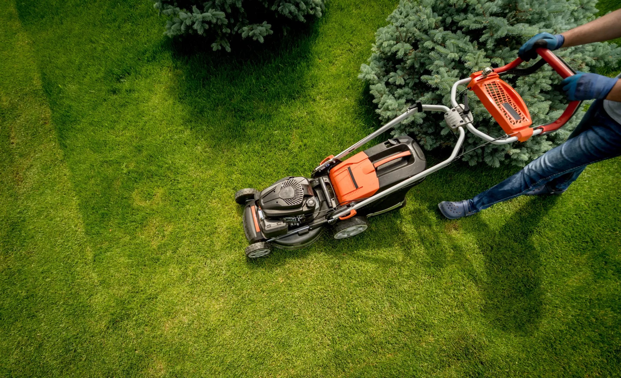 Are Lawn Care Services Worth It?