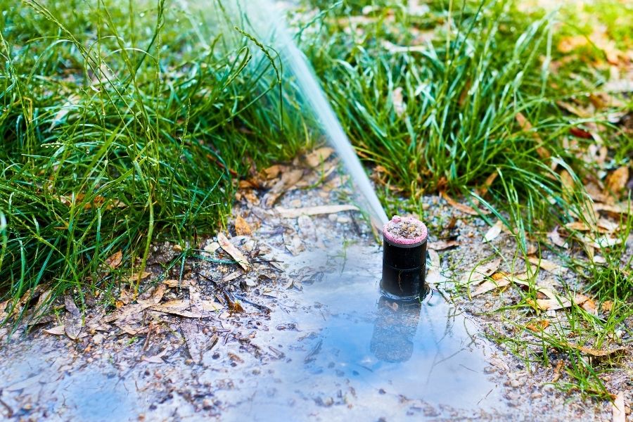 Irrigation in need of replacement
