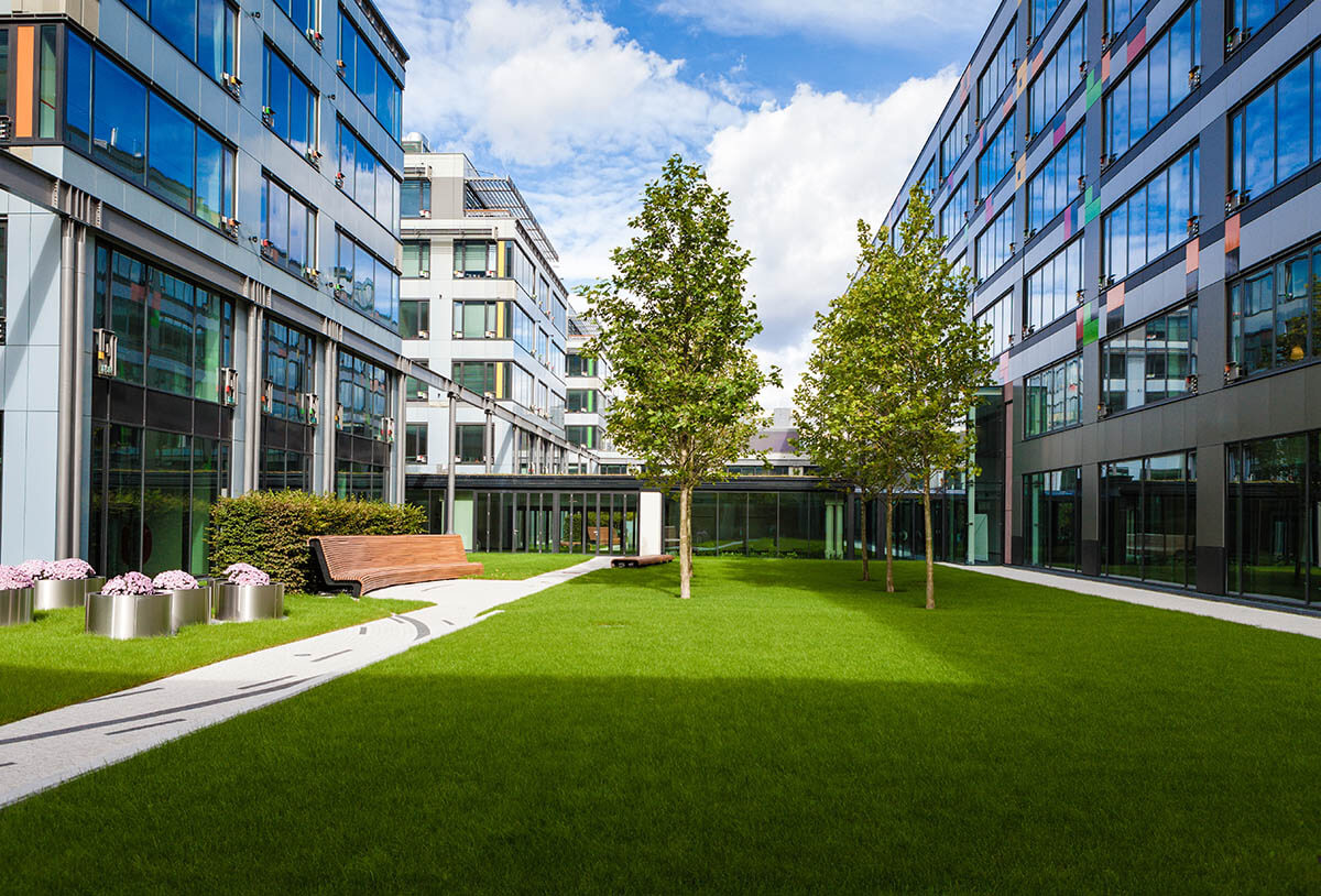 Commercial Lawn with Green Grass