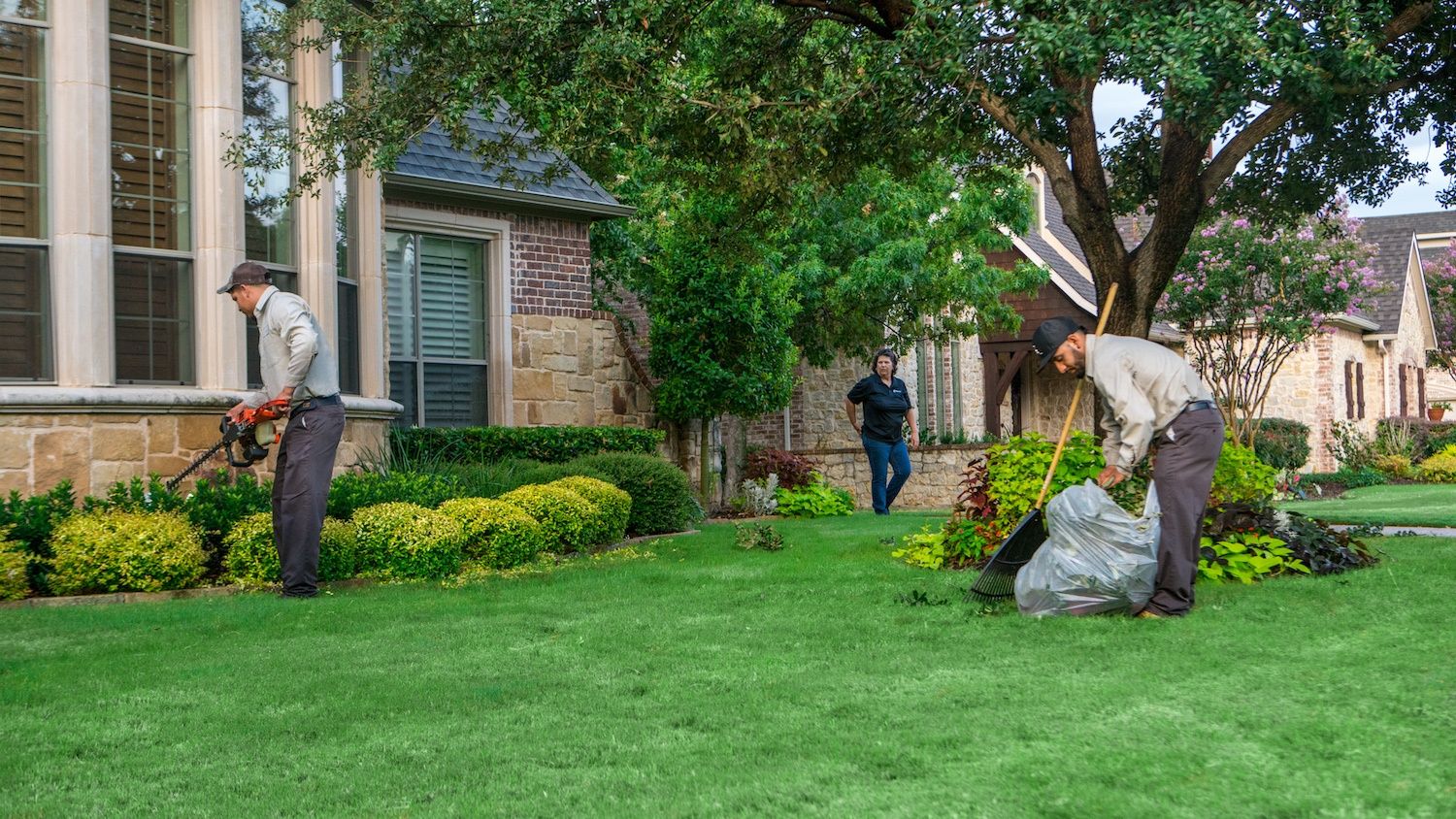 Yard Cleanup