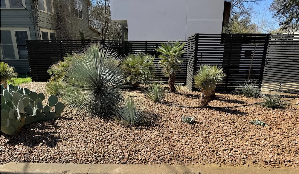 Professional Lawn Care and Landscaping in Round Rock