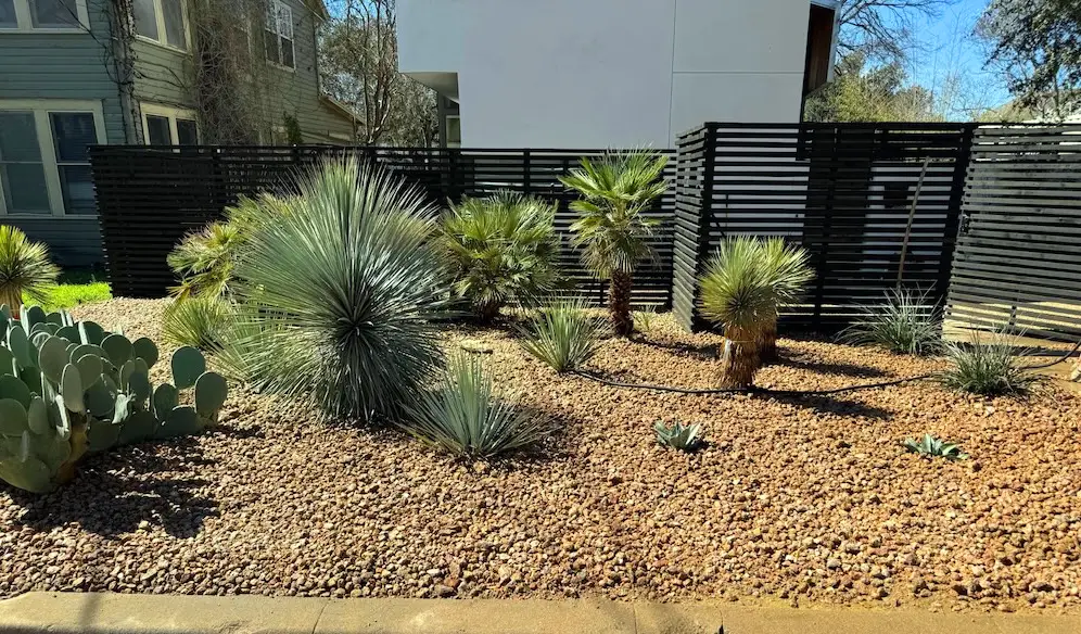 Professional Lawn Care and Landscaping in Round Rock