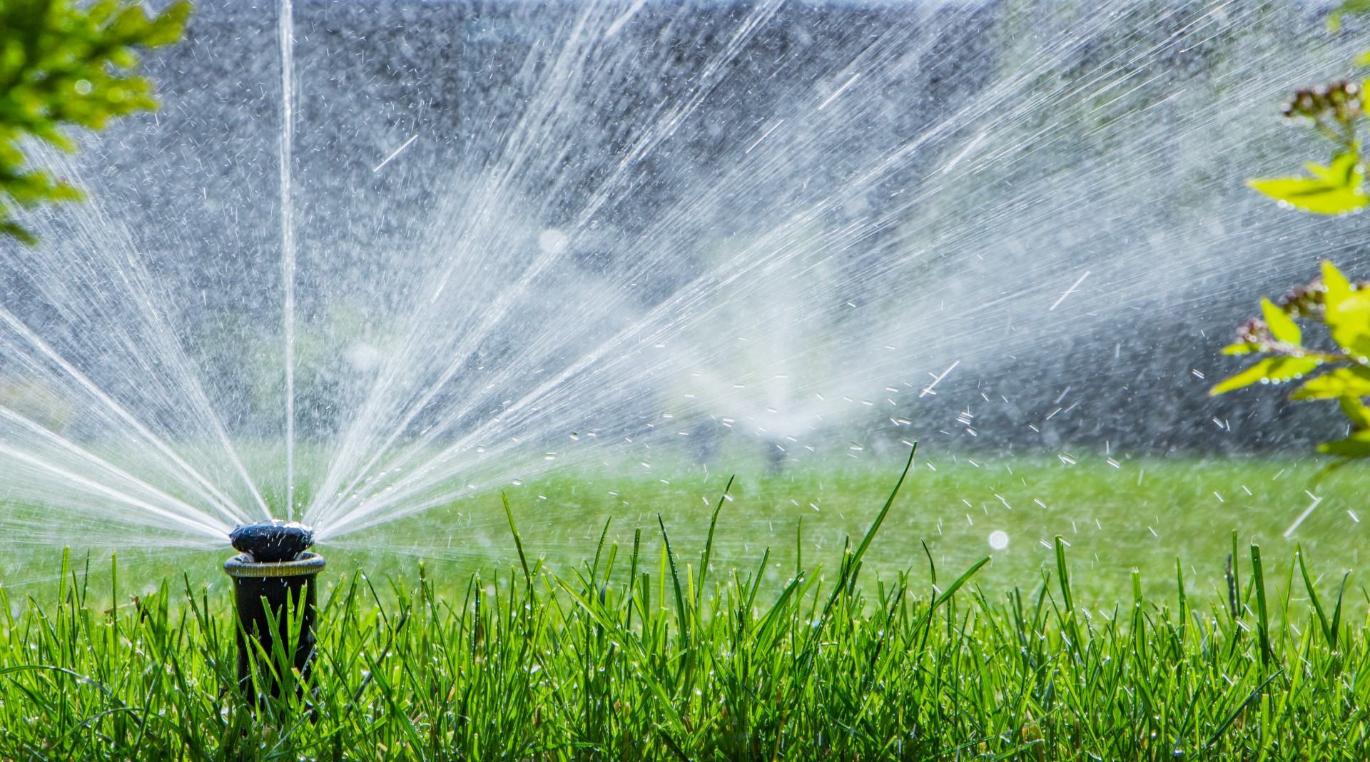 Lawn Irrigation