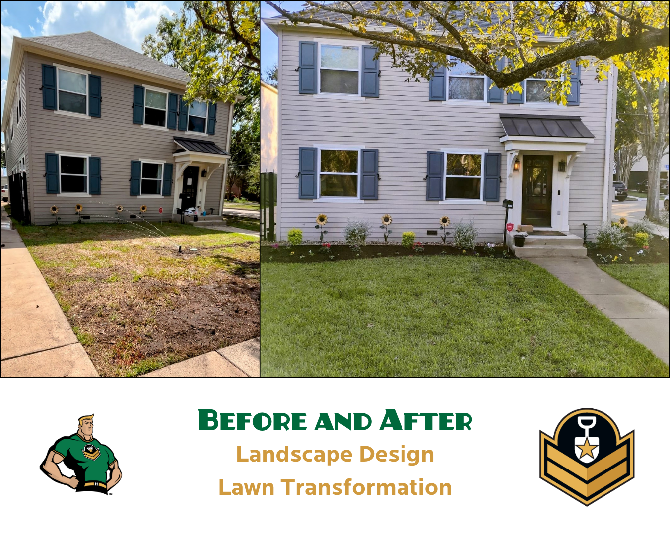 Professional Lawn Transformation and Landscape Design