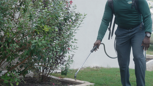 man spraying weed control substance on weeds