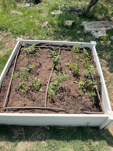 drip irrigation system in raised flower bed