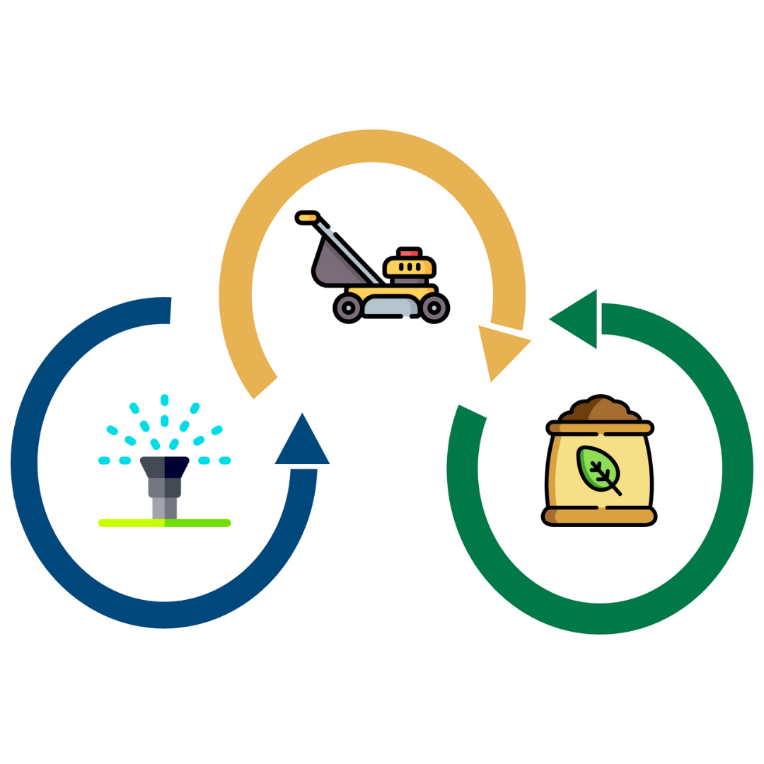 Three interconnected arrows form a cycle around icons of a sprinkler, a lawn mower, and a fertilizer bag, illustrating the essential steps of lawn care.
