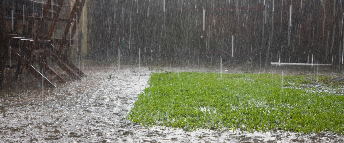 Backyard in Pearland flooded after heavy rain, showing waterlogged grass and poor drainage—highlights the need for Southeast Houston lawn care and fungus prevention.